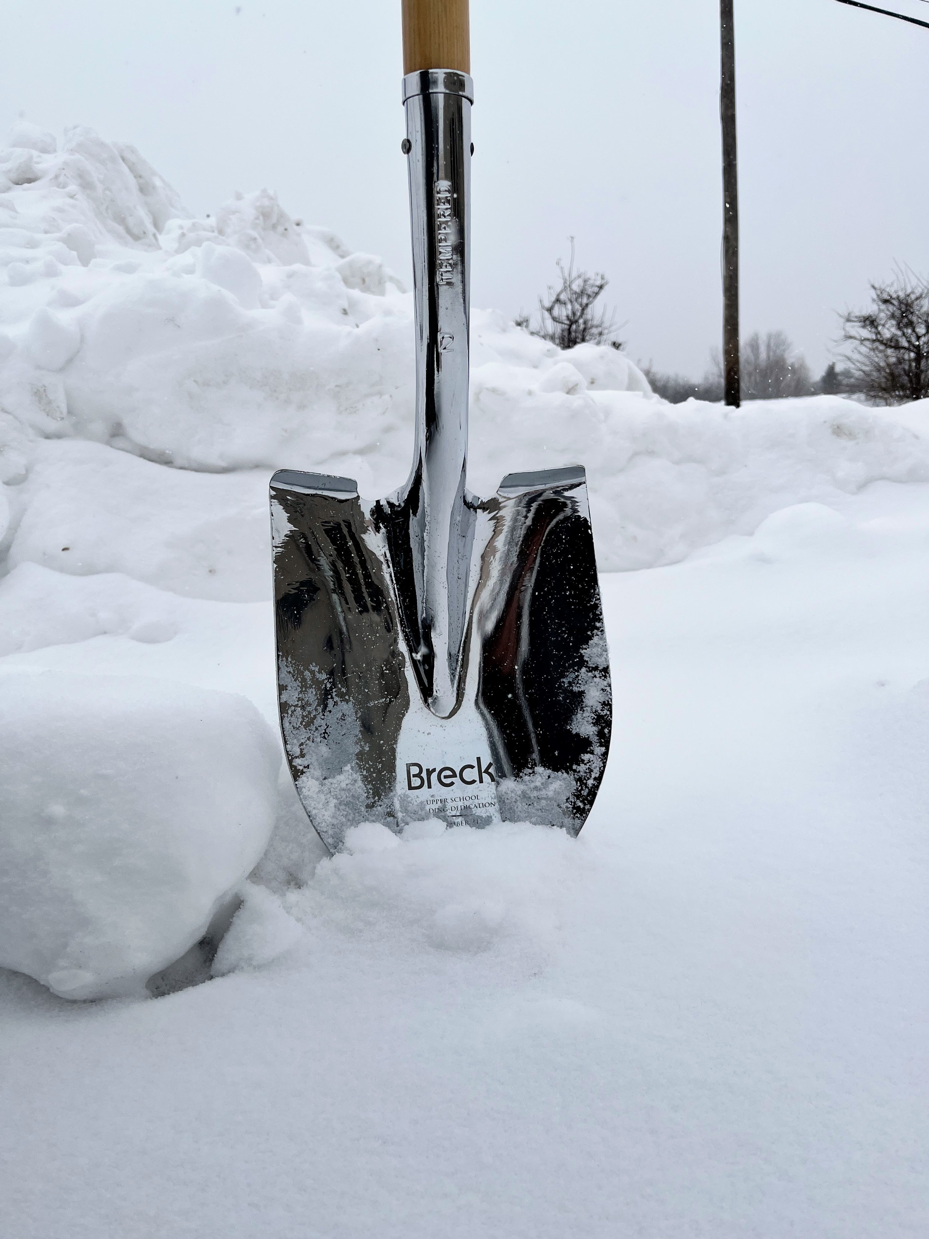 Full Sized Nickel Plated Ceremonial Shovel