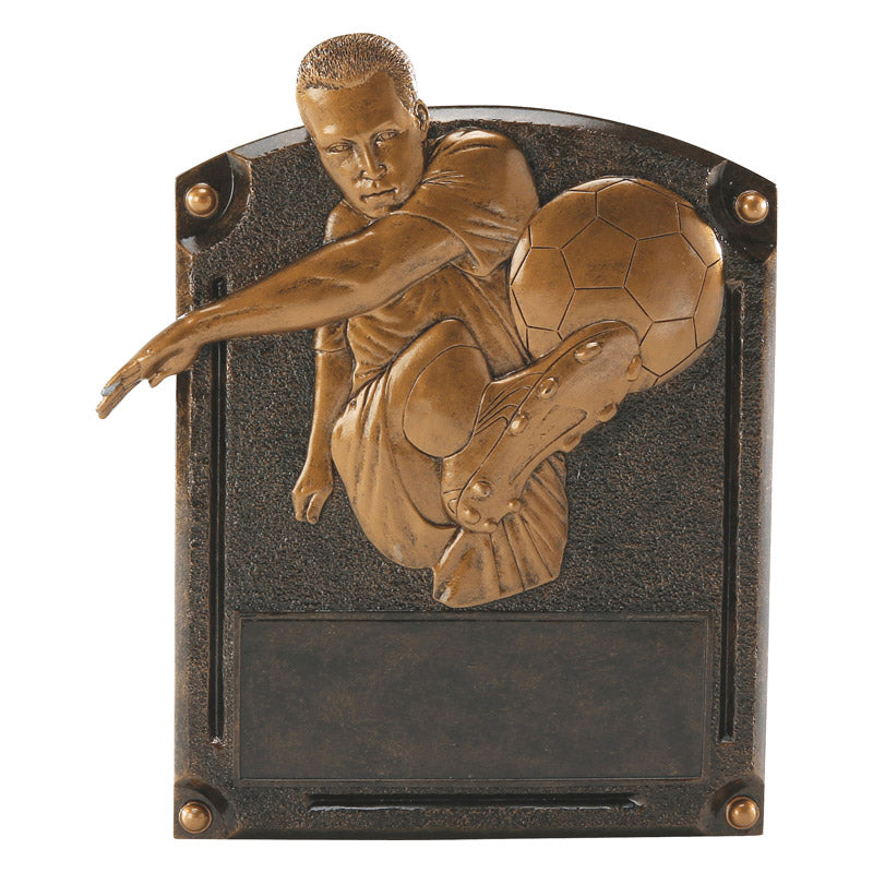Hall of Fame Resin Plaque